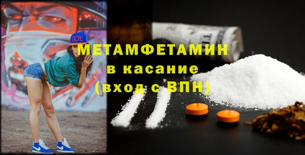 прущие грибы Надым