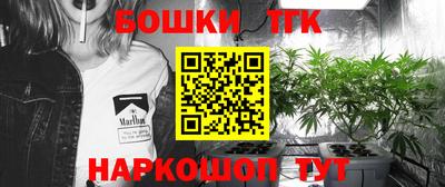 МДПВ Краснознаменск