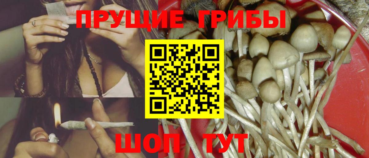 Псилоцибиновые грибы мицелий  Вход с VPN  Лобня 