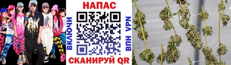 Бошки марихуана Ganja  нарко площадка наркотические препараты  Лобня 